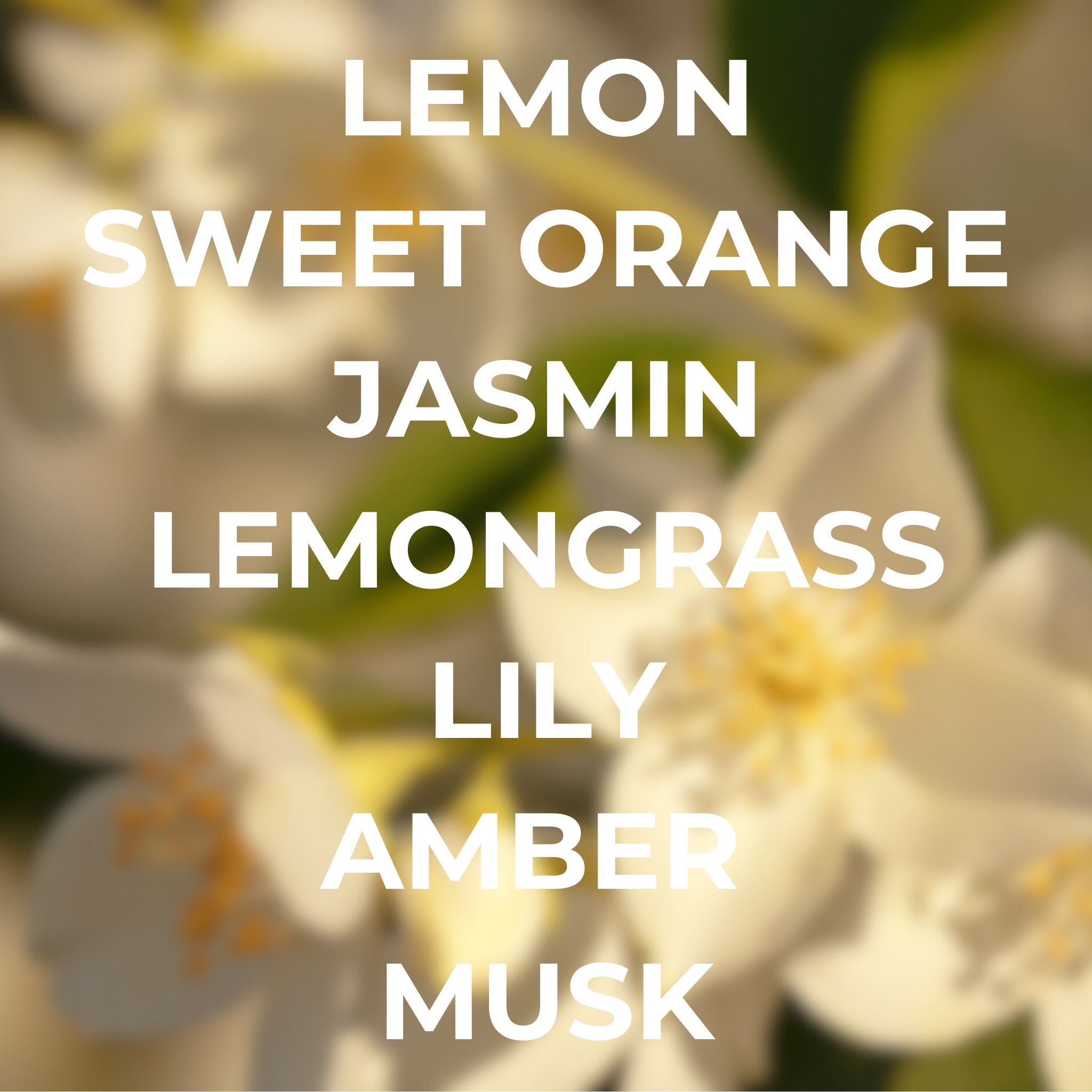 Italian summer room and linen spray orange jasmin lemongrass lily amber musk scent Delano hotel scent dupe